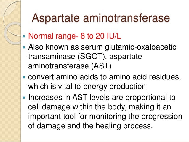 What Is High Aspartate Aminotransferase? – JIIVCI