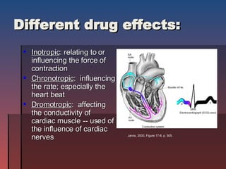 Different drug effects: Inotropic : relating to or influencing the force of contraction Chronotropic :  influencing the rate; especially the heart beat Dromotropic :  affecting the conductivity of cardiac muscle -- used of the influence of cardiac nerves Jarvis, 2000, Figure 17-8. p. 505. 