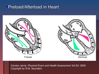 Preload/Afterload in Heart Carolyn Jarvis,  Physical Exam and Health Assessment   3rd Ed.  2000.  Copyright by W.B. Saunders 