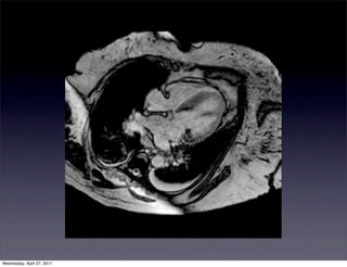 Wednesday, April 27, 2011
 