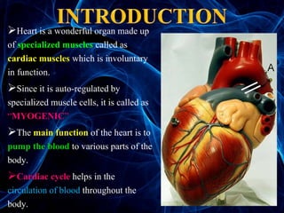 Regulating Heart Activity (heart beat) regulation of cardiac activity | PPTX