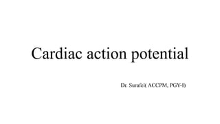 Cardiac action potential. Dr. surafel ACCPM AR1 | PPTX