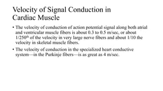 Cardiac action potential. Dr. surafel ACCPM AR1 | PPTX