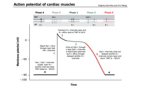 Cardiac action potential. Dr. surafel ACCPM AR1 | PPTX