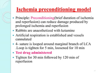 Ischemia preconditioning model
 Principle: Preconditioning(brief duration of ischemia
and reperfusion) can reduce damage produced by
prolonged ischemia and reperfusion
 Rabbits are anaesthetized with ketamine
 Artificial respiration is established and vessels
cannulated
 4- suture is looped around marginal branch of LCA
.Loop is tighten for 5 min, loosened for 10 min
 Test drug administered
 Tighten for 30 min followed by 120 min of
reperfusion
17
 