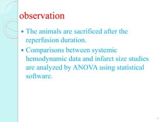 observation
 The animals are sacrificed after the
reperfusion duration.
 Comparisons between systemic
hemodynamic data and infarct size studies
are analyzed by ANOVA using statistical
software.
18
 