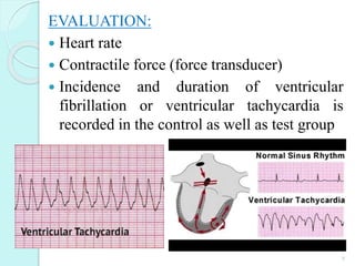 EVALUATION:
 Heart rate
 Contractile force (force transducer)
 Incidence and duration of ventricular
fibrillation or ventricular tachycardia is
recorded in the control as well as test group
8
 