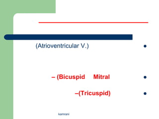 (Atrioventricular V.)            




      – )Bicuspid       Mitral   


                  –(Tricuspid)   



        kamrani
 