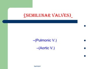 (Semilunar Valves)

                     




   –(Pulmonic V.)    

     –(Aortic V.)    

                     


   kamrani
 
