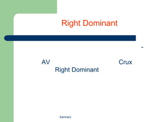 Right Dominant

                               -

AV                      Crux
     Right Dominant




      kamrani
 