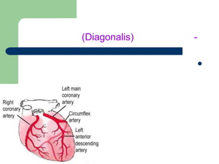 (Diagonalis)   -

                   




kamrani
 
