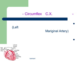 - Circumflex   C.X.                -

                                           
(Left
                       Mariginal Artery)

                                           




            kamrani
 