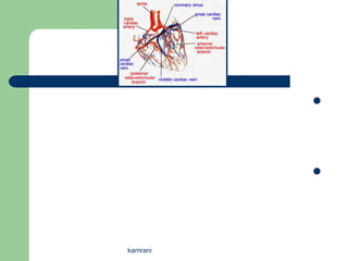 




          




kamrani
 