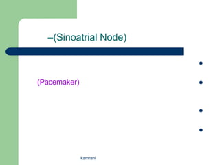 –(Sinoatrial Node)

                        


(Pacemaker)             




                        


                        




              kamrani
 