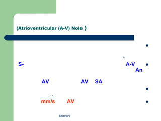 (Atrioventricular (A-V) Nole )


                                                     

                                      -
S-                                        A-V        
                                                An

          AV                AV   SA
                                                     
             .
          mm/s        AV                             


                  kamrani
 