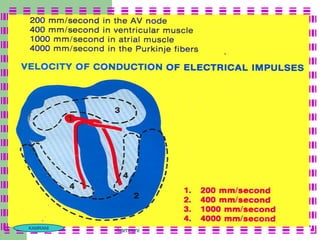 KAMRANI
          kamrani
 
