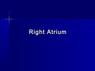 Right AtriumRight Atrium
 