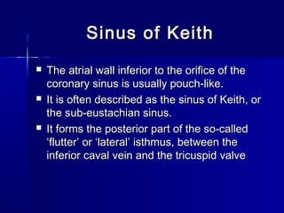 Sinus of KeithSinus of Keith
 The atrial wall inferior to the orifice of theThe atrial wall inferior to the orifice of the
coronary sinus is usually pouch-like.coronary sinus is usually pouch-like.
 It is often described as the sinus of Keith, orIt is often described as the sinus of Keith, or
the sub-eustachian sinus.the sub-eustachian sinus.
 It forms the posterior part of the so-calledIt forms the posterior part of the so-called
‘flutter’ or ‘lateral’ isthmus, between the‘flutter’ or ‘lateral’ isthmus, between the
inferior caval vein and the tricuspid valve inferior caval vein and the tricuspid valve 
 