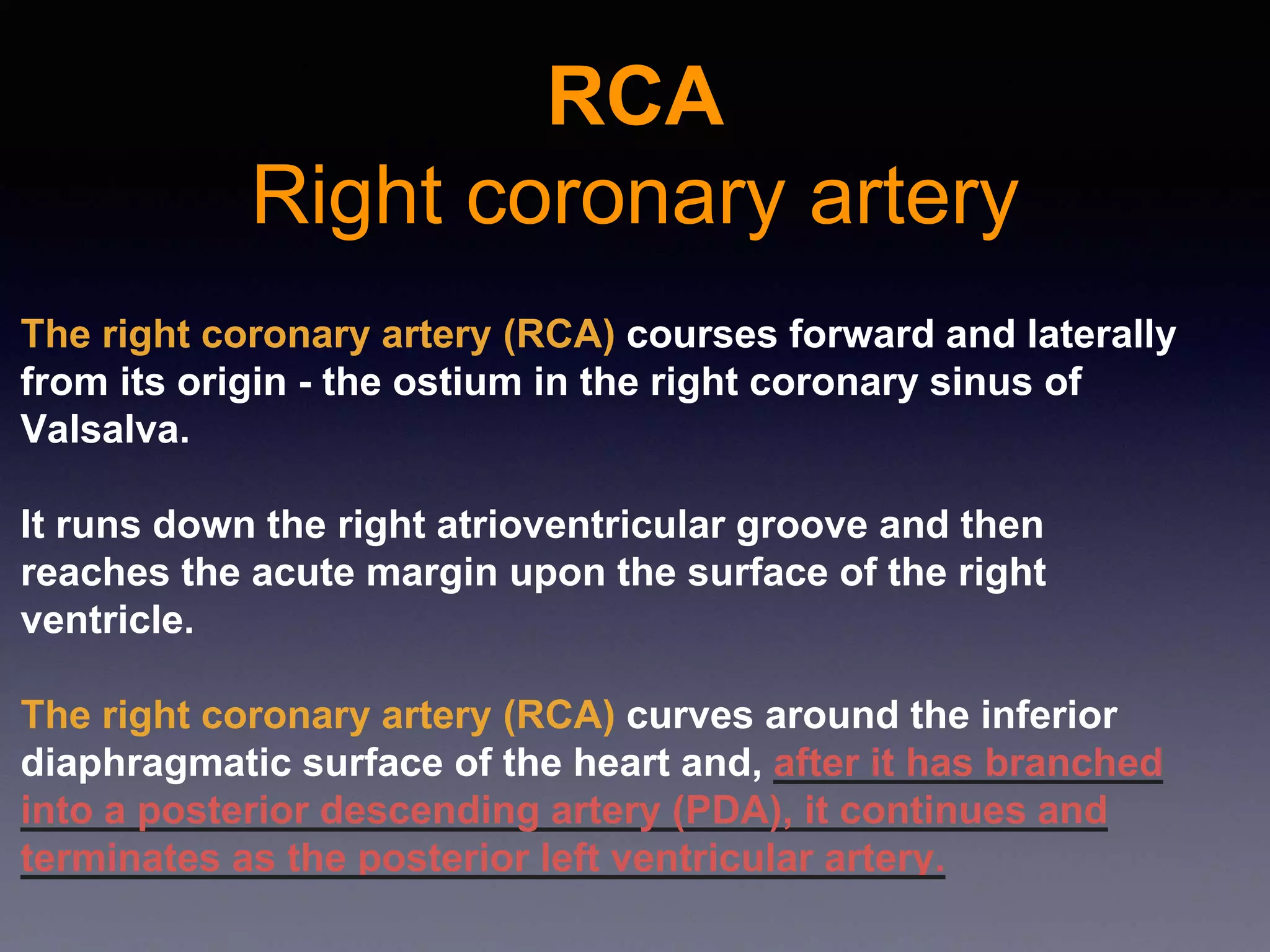 Cardiac anatomy | PPTX