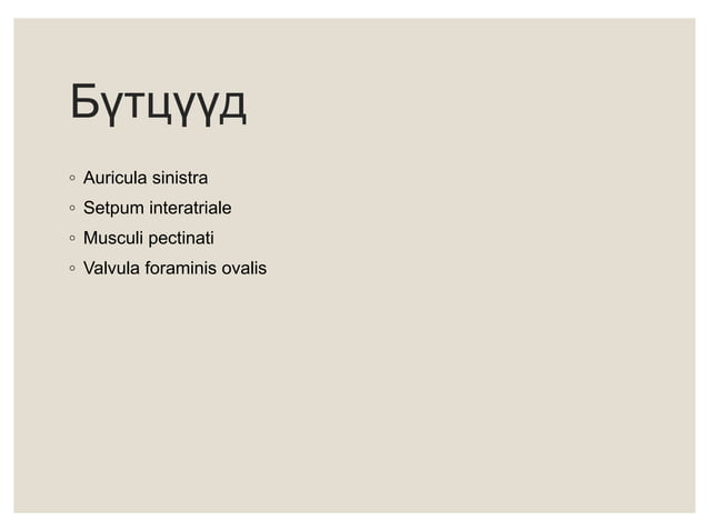 Зүрхний анатоми ба физиологи | PPT