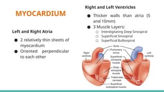 Comprehensive Overview of Cardiac Anatomy and Physiology for Medical ...