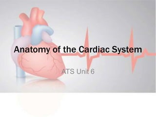 Anatomy of the Cardiac System
ATS Unit 6
 