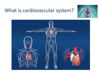 Cardiac and circulatory adaptation to exercise.pptx