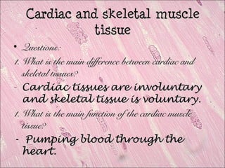 Cardiac and skeletal muscles1 | PPT