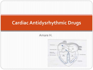 Amare H.
Cardiac Antidysrhythmic Drugs
 