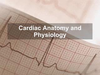 Cardiac Anatomy and Physiology 