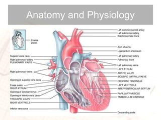Anatomy and Physiology 