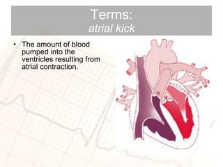 Terms: atrial kick The amount of blood pumped into the ventricles resulting from atrial contraction. 