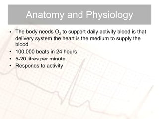 Anatomy and Physiology The body needs O 2  to support daily activity blood is that delivery system the heart is the medium to supply the blood  100,000 beats in 24 hours 5-20 litres per minute  Responds to activity  