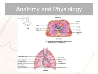Anatomy and Physiology 