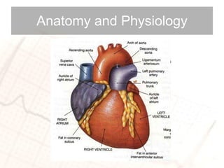 Anatomy and Physiology 