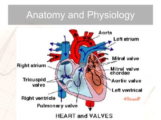 Anatomy and Physiology 