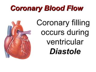Coronary Blood Flow

      Coronary filling
       occurs during
        ventricular
         Diastole
 