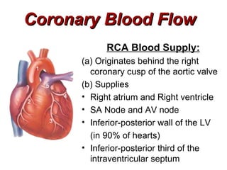 Coronary Blood Flow
            RCA Blood Supply:
      (a) Originates behind the right
        coronary cusp of the aortic valve
      (b) Supplies
      • Right atrium and Right ventricle
      • SA Node and AV node
      • Inferior-posterior wall of the LV
        (in 90% of hearts)
      • Inferior-posterior third of the
        intraventricular septum
 