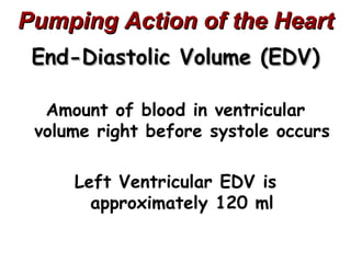 Pumping Action of the Heart
 End-Diastolic Volume (EDV)

  Amount of blood in ventricular
 volume right before systole occurs

     Left Ventricular EDV is
       approximately 120 ml
 