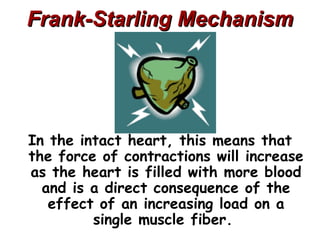Frank-Starling Mechanism




In the intact heart, this means that
the force of contractions will increase
as the heart is filled with more blood
  and is a direct consequence of the
   effect of an increasing load on a
         single muscle fiber.
 