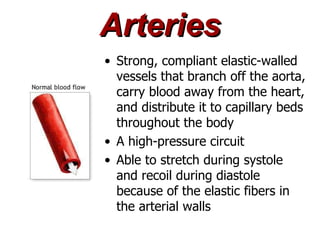 Arteries
• Strong, compliant elastic-walled
  vessels that branch off the aorta,
  carry blood away from the heart,
  and distribute it to capillary beds
  throughout the body
• A high-pressure circuit
• Able to stretch during systole
  and recoil during diastole
  because of the elastic fibers in
  the arterial walls
 