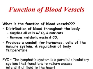 Function of Blood Vessels
What is the function of blood vessels???
• Distribution of blood throughout the body
  – Supplies all cells w/ O2 & nutrients
  – Removes metabolic waste & CO2
• Provides a conduit for hormones, cells of the
  immune system, & regulation of body
  temperature

FYI – The lymphatic system is a parallel circulatory
  system that functions to return excess
  interstitial fluid to the heart
 
