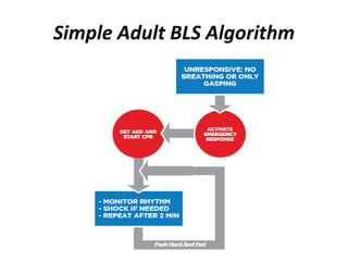 Simple Adult BLS Algorithm
 