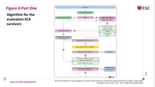 Sca Guidelines Cardiac Arrest-Updated.pdf