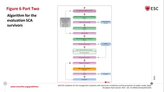 Sca Guidelines Cardiac Arrest-Updated.pdf