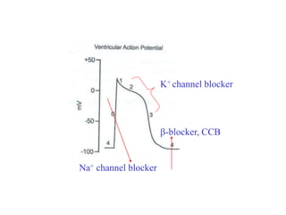 Na+ channel blocker
K+ channel blocker
-blocker, CCB
 