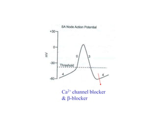 Ca2+ channel blocker
& -blocker
 