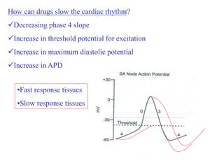 How can drugs slow the cardiac rhythm?
Decreasing phase 4 slope
Increase in threshold potential for excitation
Increase in maximum diastolic potential
Increase in APD
•Fast response tissues
•Slow response tissues
 