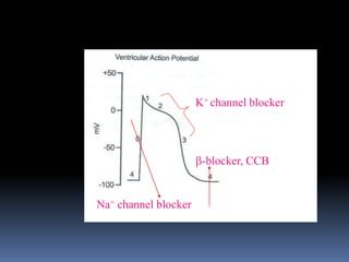 Na+ channel blocker
K+ channel blocker
-blocker, CCB
 