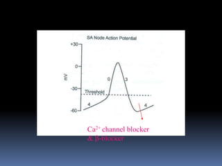 Ca2+ channel blocker
& -blocker
 